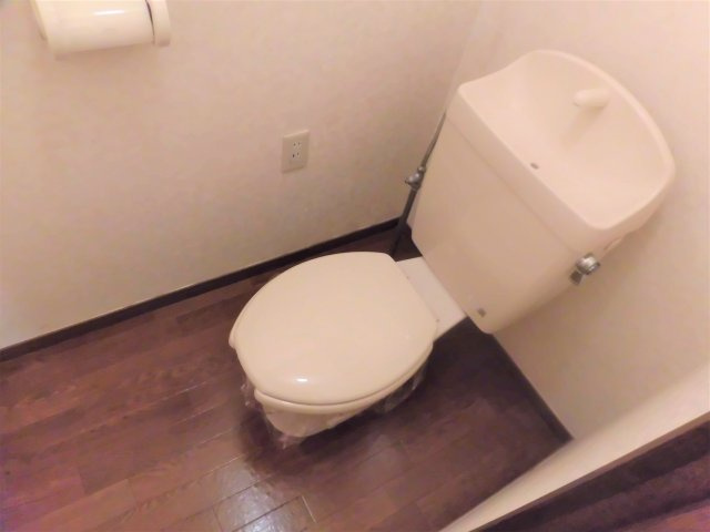 グリーンハウスのトイレ
