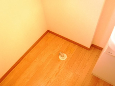 【その他】 | アウレーアネシスＡ