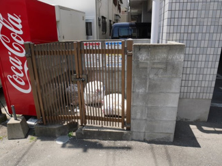 【その他共用部分】 | メゾン駅南のゴミ置き場