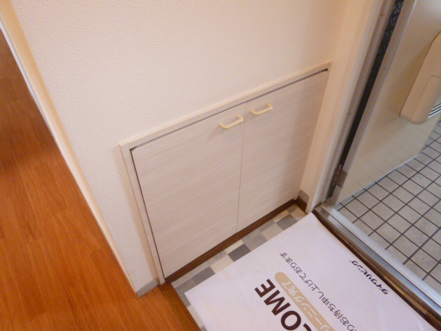 ドリーム神田の玄関