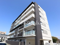 クレメンティアの画像