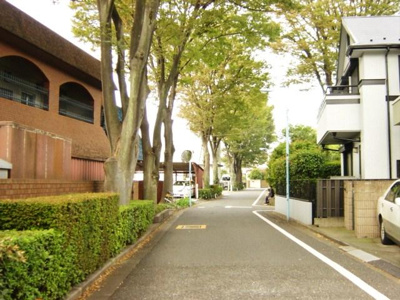【周辺】 | ファインコート久我山（賃貸一戸建て） | 前面道路