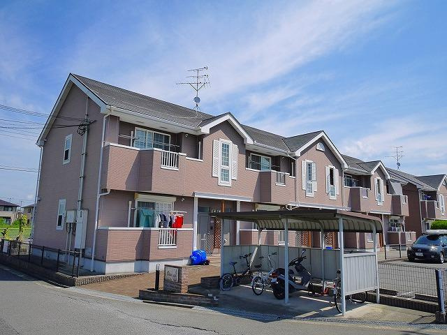 ビーナス