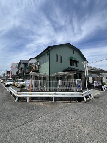ファロスの画像