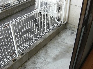 【その他】 | ファロス