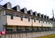 レンパレスパルコの画像