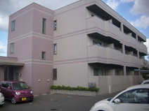 ベルナード・コンフォートの画像