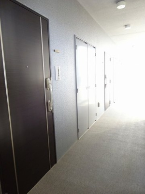 【その他共用部分】 | ワールドアイ江坂アルバ | 重厚でとてもシックな玄関ドアです