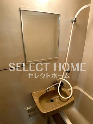 【洗面所】 | タウニー緑ヶ丘 | ゆったりとスペースのある洗面所
同型タイプ