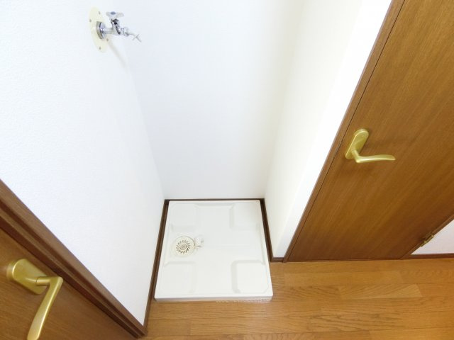 アムールもみの木のその他