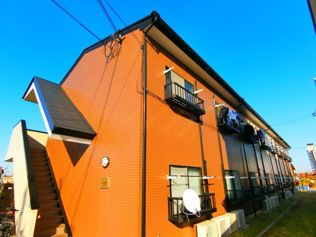 アムールもみの木の外観