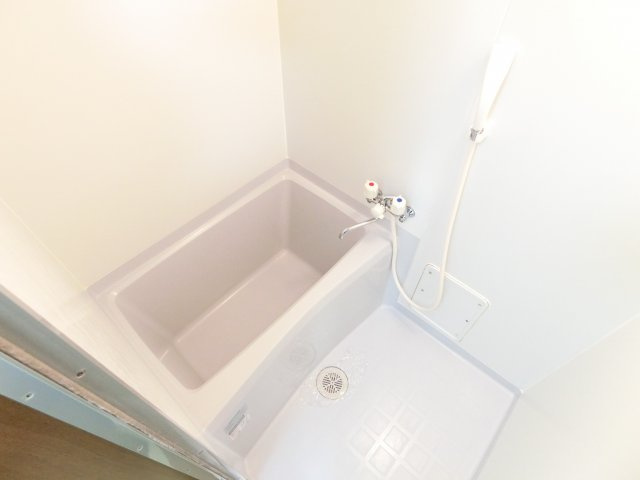 アムールもみの木の浴室