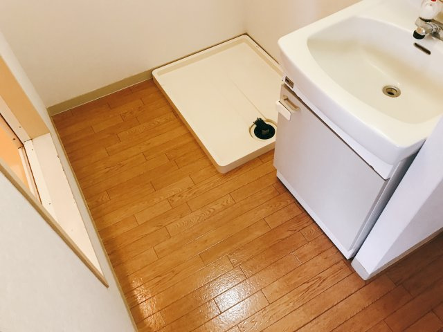 ニューウィング山田の洗面所
