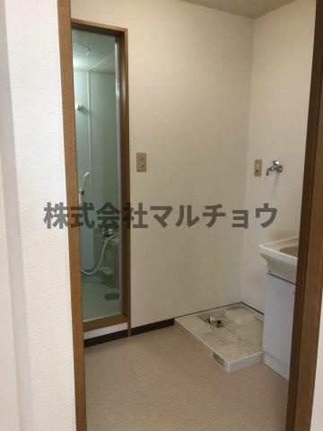 オーキッドエステイト　1号　の洗面所|スペースが確保できる洗面所です