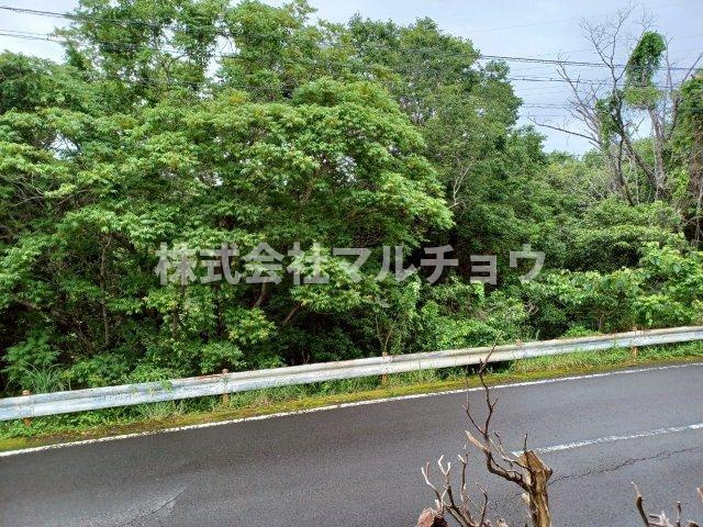 シティハイムプラージュⅡの展望