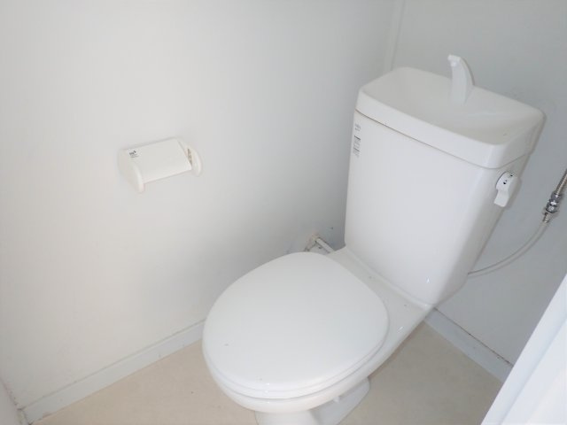 ヴィラナリー中辺路のトイレ|トイレです