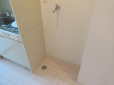 スカイロード御池のその他|洗濯機室内設置可