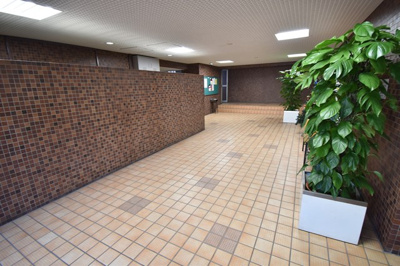 【エントランス】 | 【広々としたルーフテラス（43.05平米）付き♪】インペリアル千里丘 | 観葉植物があるエントランスです。