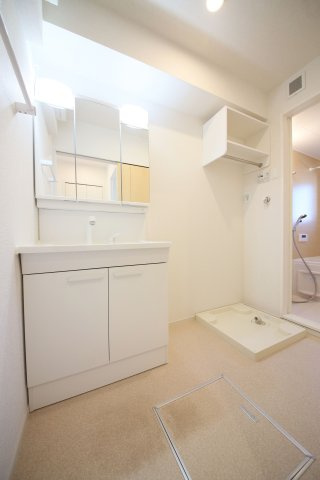 ビオーラ上池の洗面所
