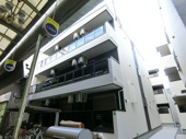 F mirai baumの画像