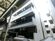 F mirai baumの画像