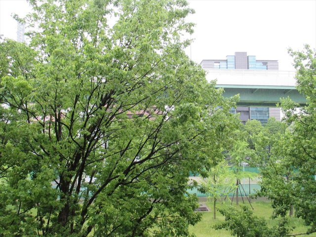 Pace Palazzoの展望|Pace Palazzo