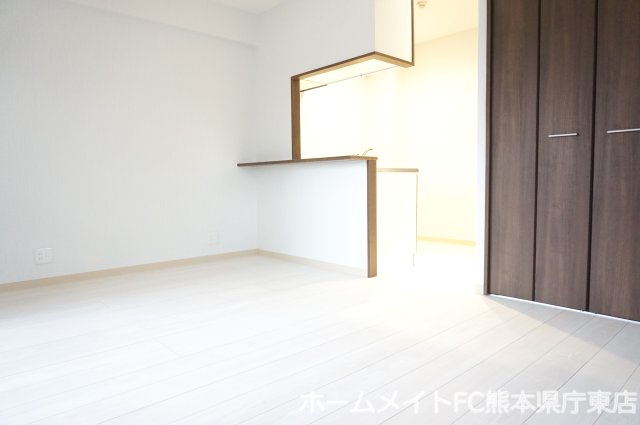 熊本市中央区新屋敷２丁目の賃貸マンションの居間・リビング