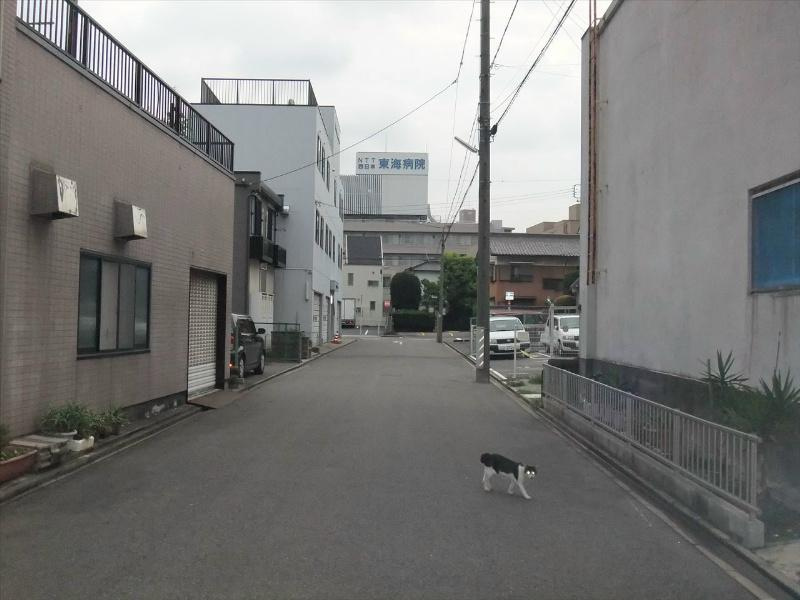名古屋市中区松原２丁目の賃貸マンションの展望