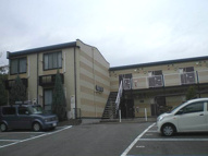 サン　グリーンの画像