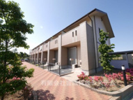 クリザンテーモⅡの画像