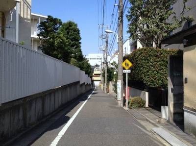【周辺】 | パロス駒場東大前 | 前面道路