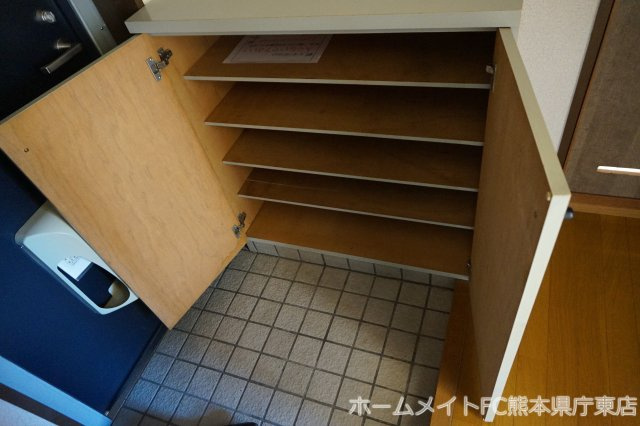 熊本市南区田井島３丁目の賃貸マンションの玄関