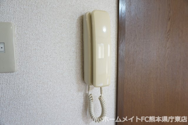 熊本市南区田井島３丁目の賃貸マンションのセキュリティ