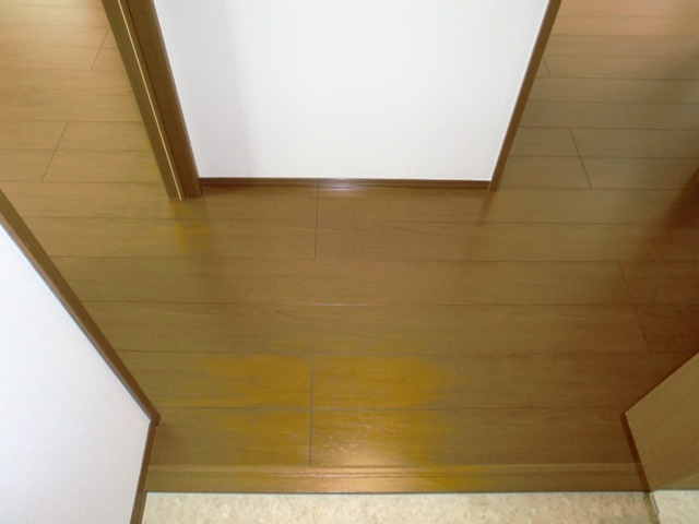 大阪市淀川区十三東２丁目のアパートの玄関