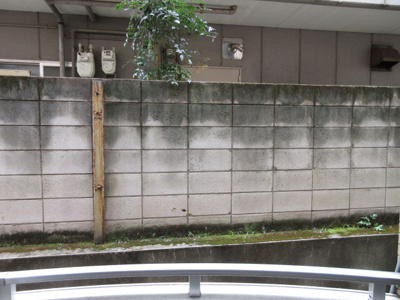 【展望】 | カーサ・デ・ベルローパ