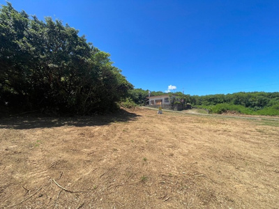  | 本部町備瀬(1082.04坪)