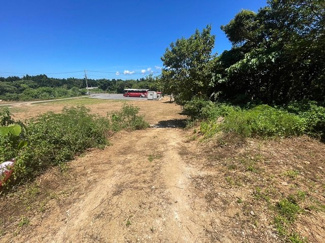  | 本部町備瀬(1082.04坪)