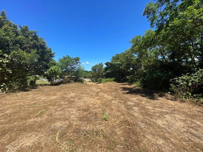  | 本部町備瀬(1082.04坪)