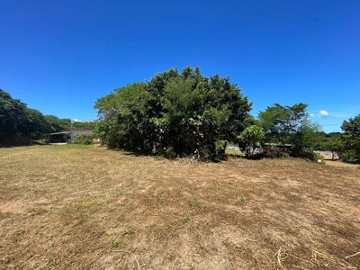  | 本部町備瀬(1082.04坪)