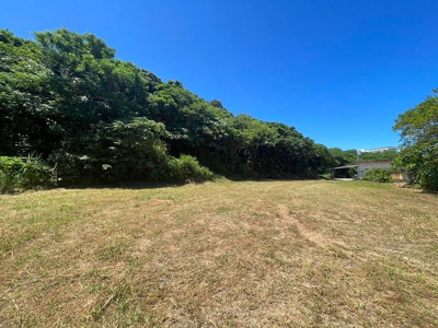  | 本部町備瀬(1082.04坪)