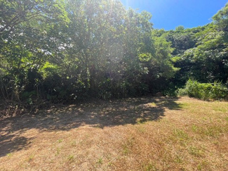  | 本部町備瀬(1082.04坪)