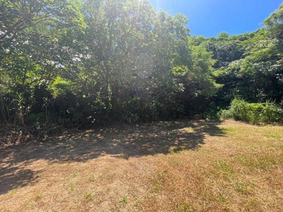  | 本部町備瀬(1082.04坪)