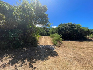  | 本部町備瀬(1082.04坪)