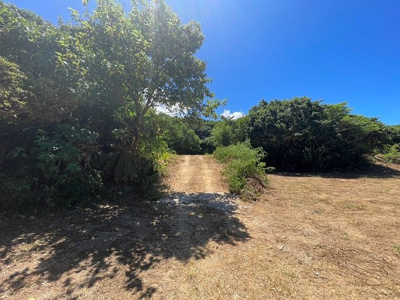  | 本部町備瀬(1082.04坪)