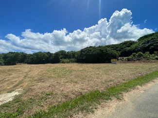  | 本部町備瀬(1082.04坪)