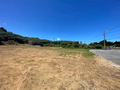  | 本部町備瀬(1082.04坪)