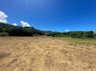  | 本部町備瀬(1082.04坪)