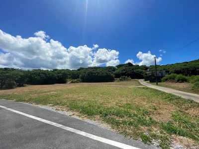  | 本部町備瀬(1082.04坪)