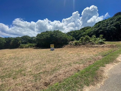  | 本部町備瀬(1082.04坪)