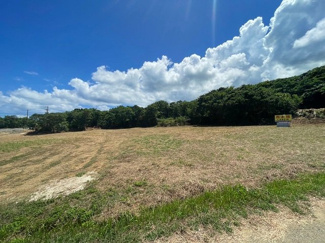  | 本部町備瀬(1082.04坪)
